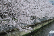 image0409