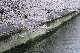 image0415