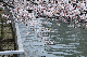 image0418