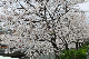 image0419