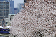 image0424