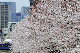 image0427