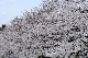 image0430