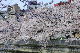 image0433