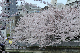 image0435