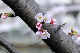 image0436