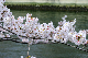 image0437