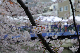 image0439