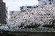 image0447