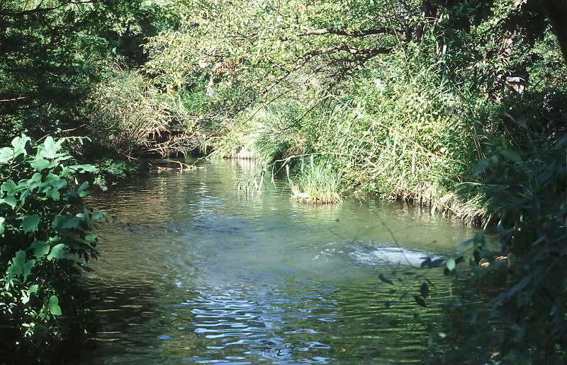 image0066