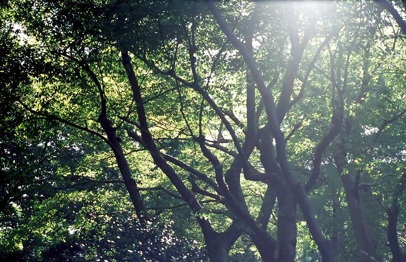 image0069