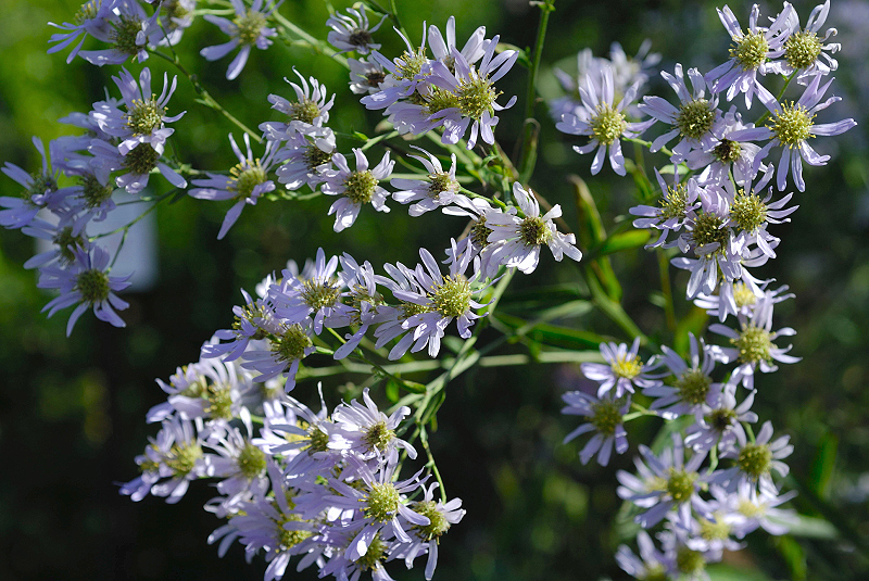 image0097