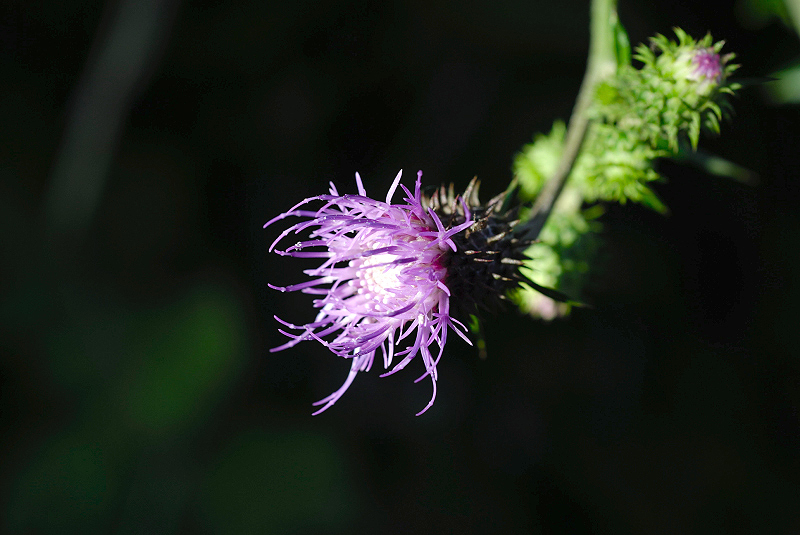 image0100
