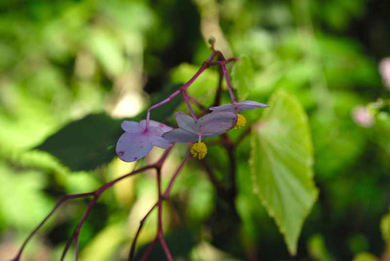 image0101