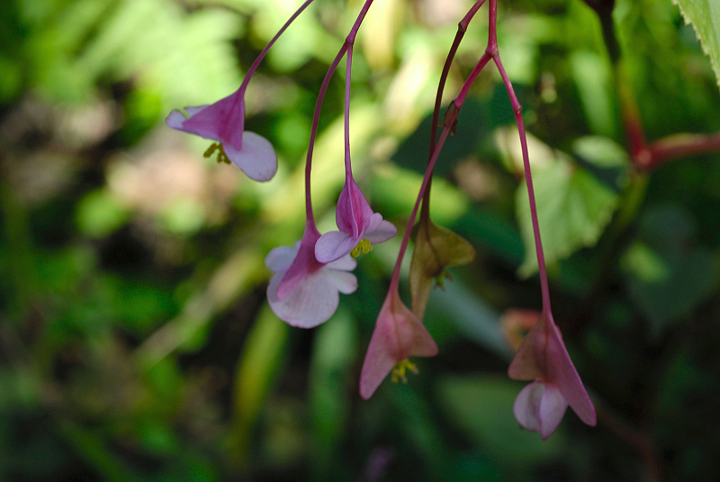image0102