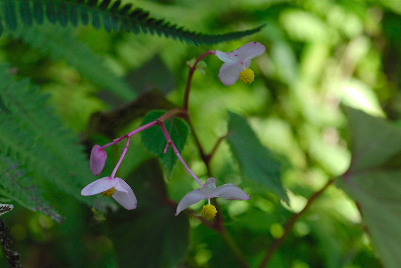 image0103