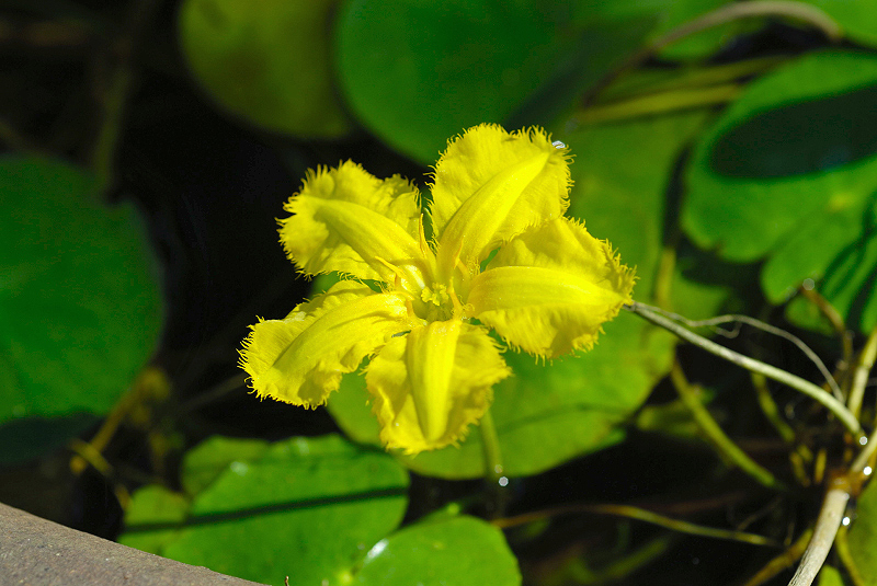 image0104