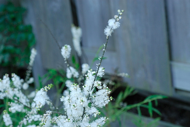 image0106