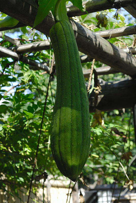 image0109