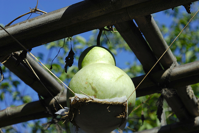 image0110