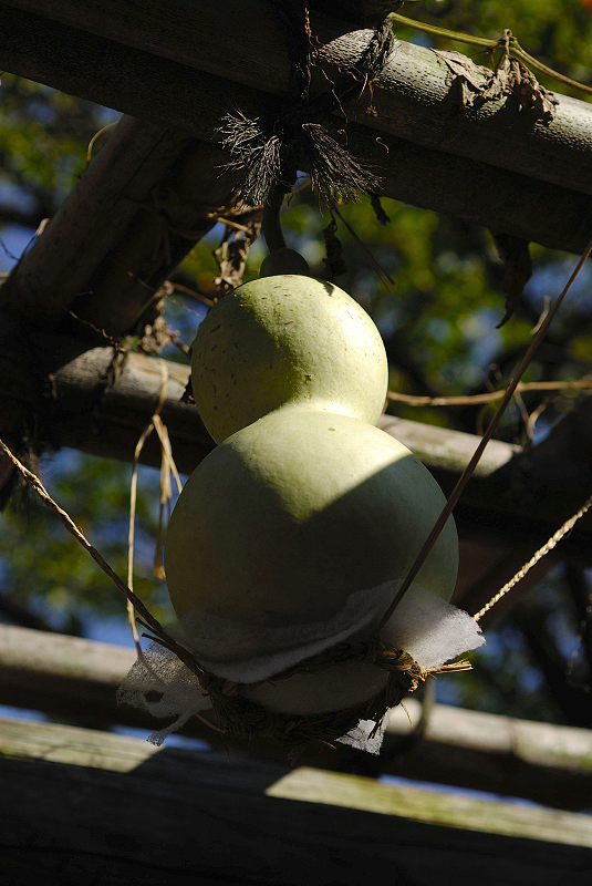 image0111