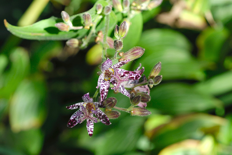 image0113