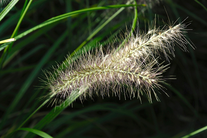 image0116