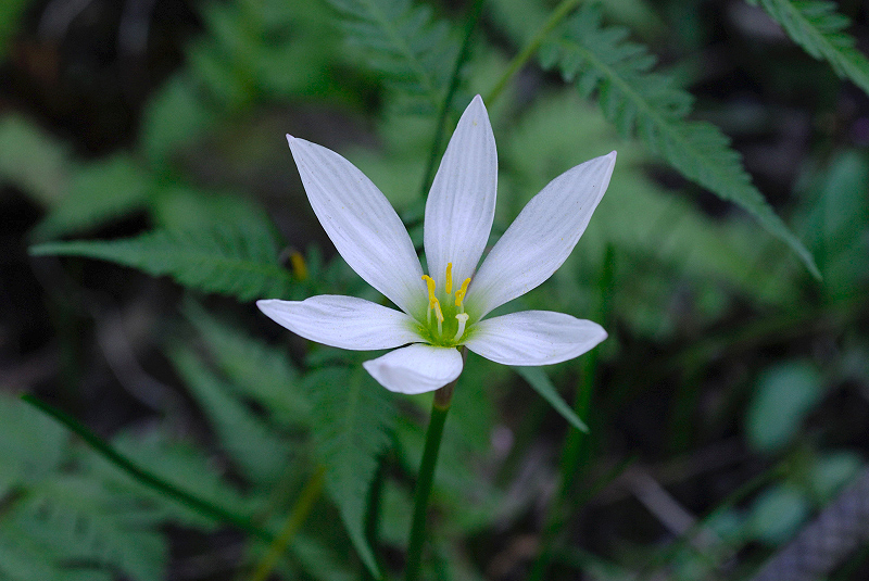 image0117