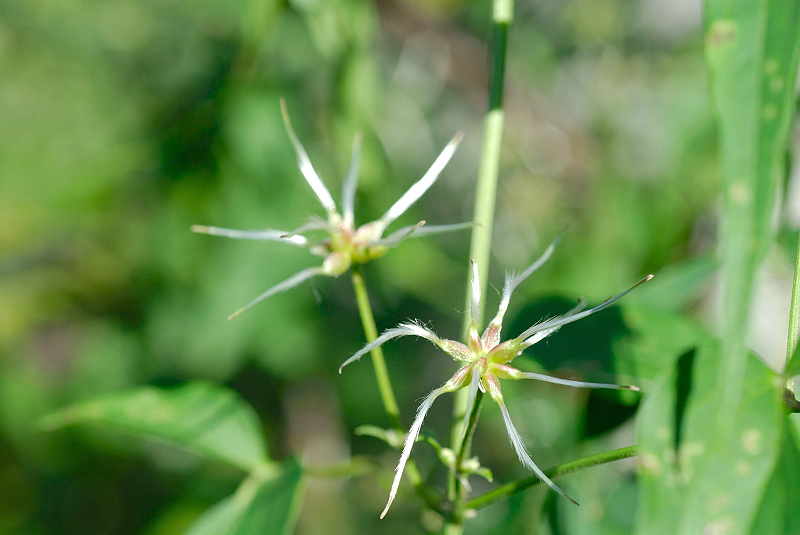 image0120