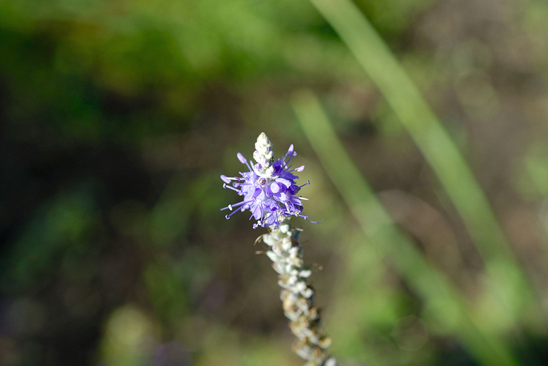 image0121