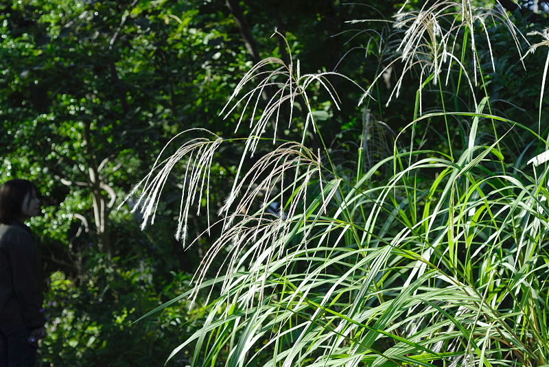 image0122