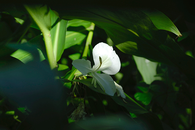 image0124