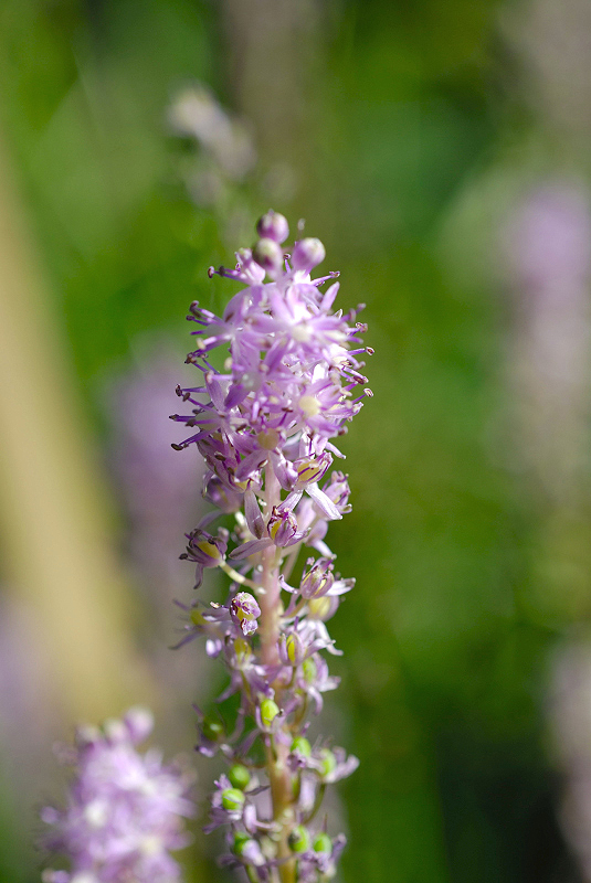 image0125