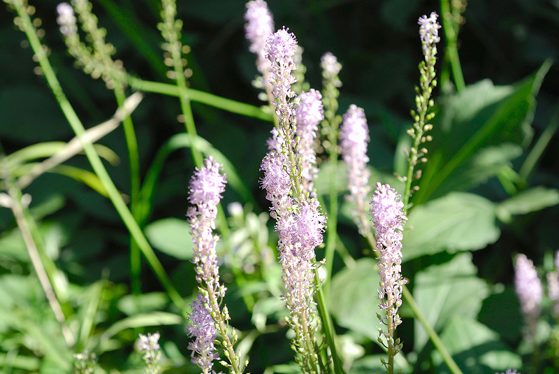 image0126