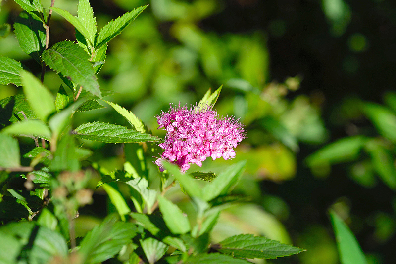 image0127