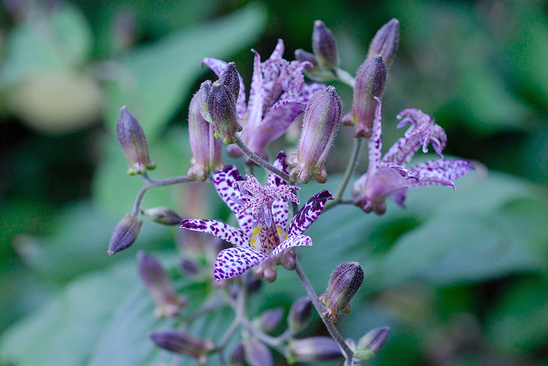 image0129
