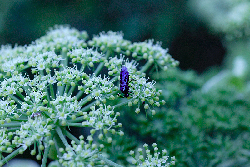 image0130