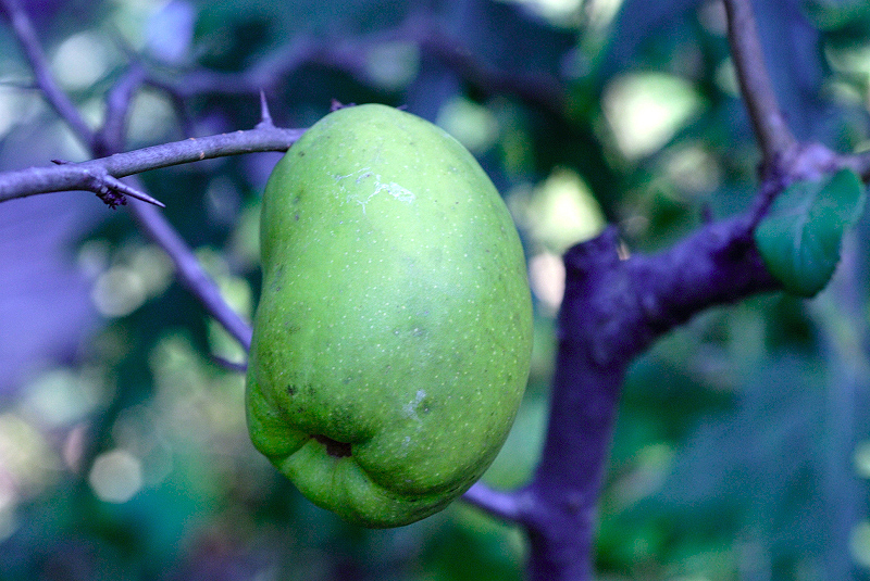 image0131