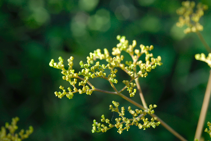 image0134