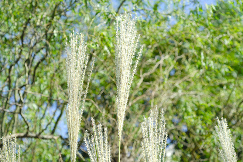 image0135