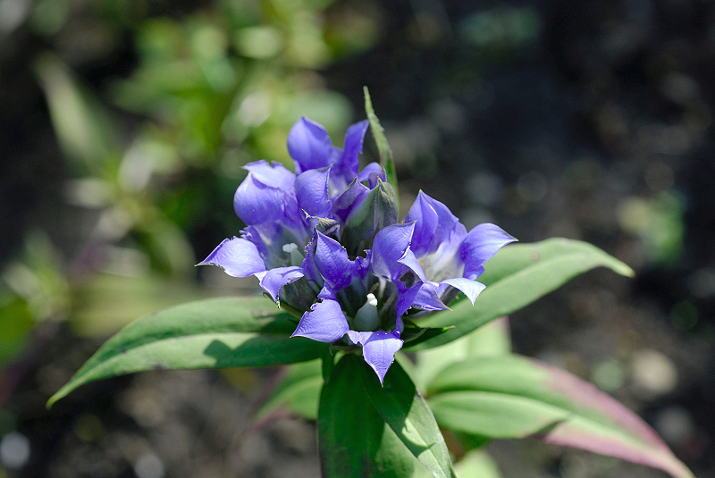 image0138