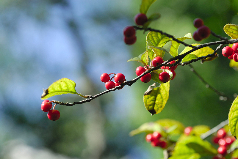 image0140