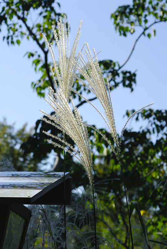 image0142
