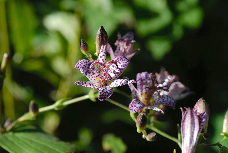 image0144