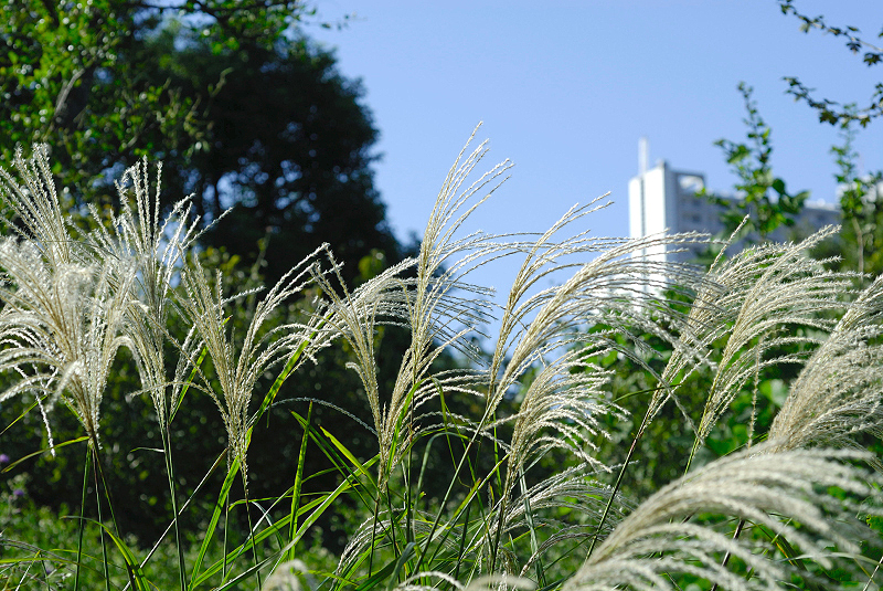image0146