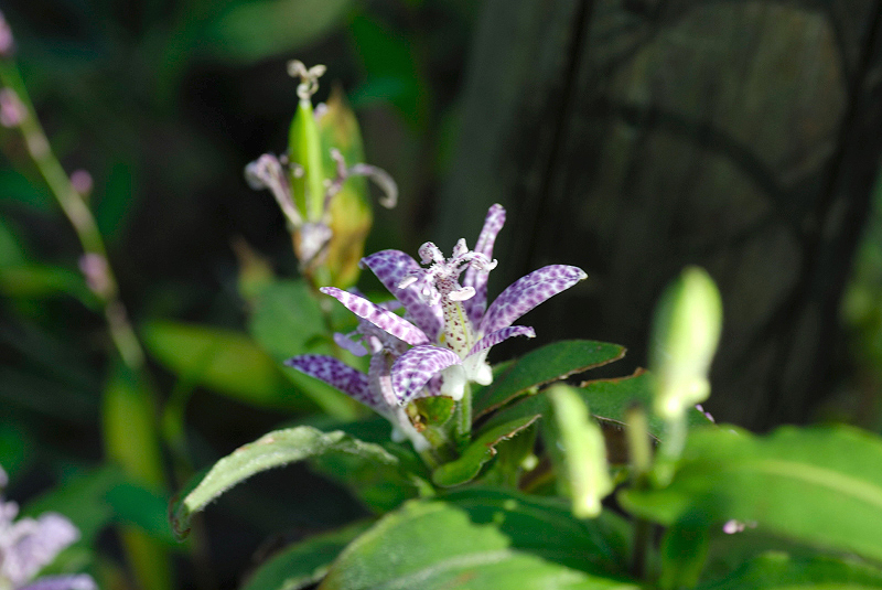 image0149