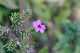 image0096