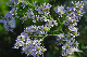 image0097