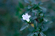 image0098