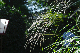 image0099